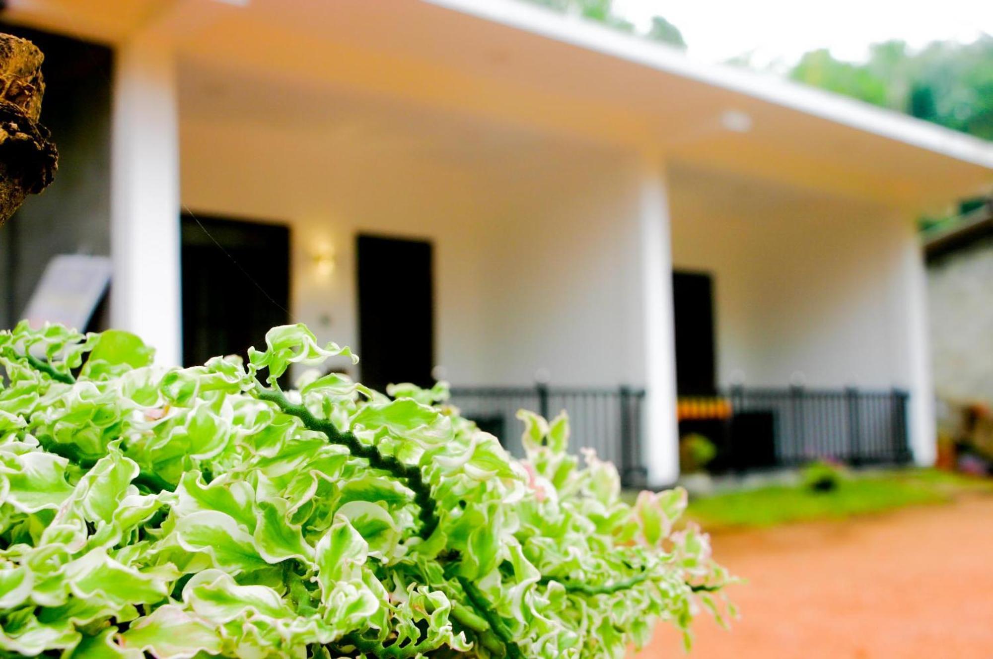 Sigiri Heaven Villa Sigiriya Exterior photo