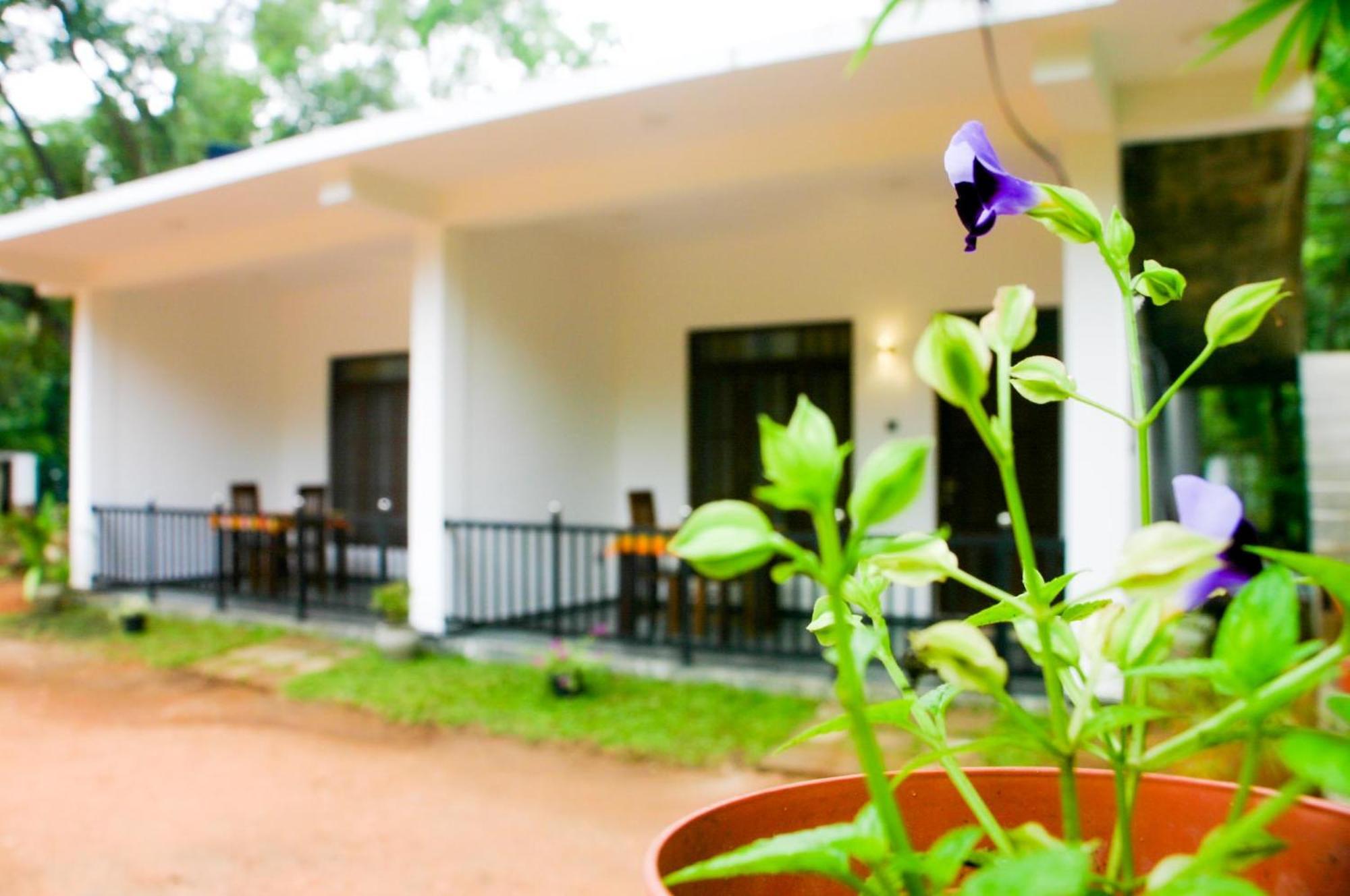 Sigiri Heaven Villa Sigiriya Exterior photo